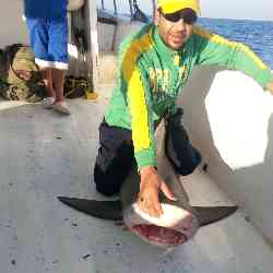 Single Arab man in الأباجية, Cairo Governorate, Egypt