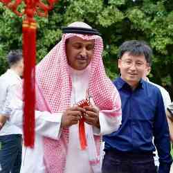 Single Arab man in الرياض, منطقة الرياض, Saudi Arabia