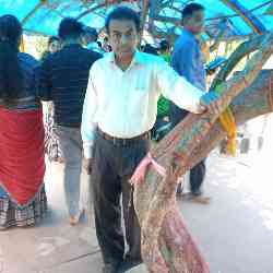 Single Muslim man in New Delhi, Delhi, India