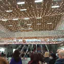 Single Greek woman in Χαλκίδα, Ελλάδα, Greece