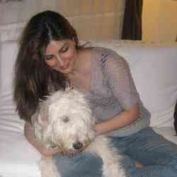 Single Iranian woman in Toronto, Ontario, Canada