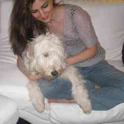 Single Iranian woman in Toronto, Ontario, Canada