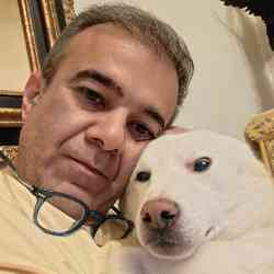 Single Iranian man in New York, ایالت نیویورک, United States