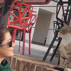 Single Iranian woman in Ilam, استان ایلام, Iran