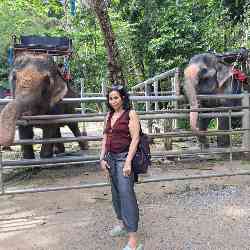 Single Iranian woman in Stockholm, Sverige, Sweden