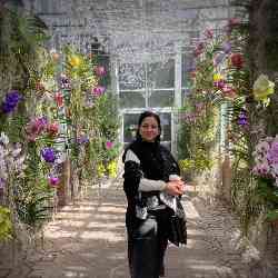 Single Iranian woman in Alpharetta, GA, United States