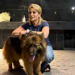 Single Iranian woman in London, UK, United Kingdom