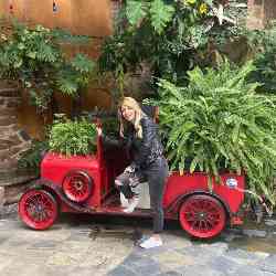 Single Iranian woman in Dallas, TX, United States