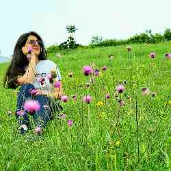 Single Iranian woman in Lahijan, Gilan Province, Iran