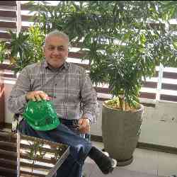Single Iranian man in Tehran, Tehran Province, Iran