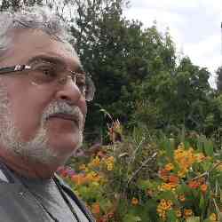 Single Iranian man in Irvine, CA, United States