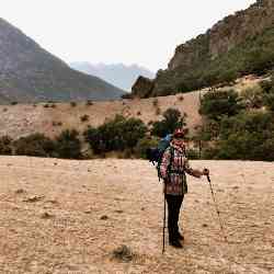 Single Iranian woman in Tehran, Tehran Province, Iran