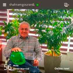 Single Iranian man in Tehran, Tehran Province, Iran