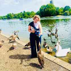 Single Iranian woman in London, England, United Kingdom