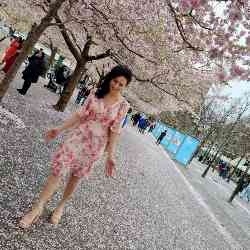 Single Iranian woman in Stockholm, Stockholm County, Sweden