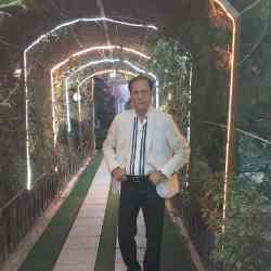 Single Iranian man in Stockholm, Stockholms län, Sweden