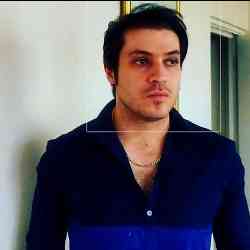 Single Iranian man in Toronto, Ontario, Canada