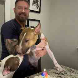 Single Greek man in Los Angeles, CA, United States