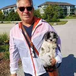 Single Greek man in Toronto, Ontario, Canada