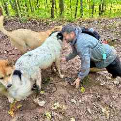 Single Arab man in Toronto, Ontario, Canada