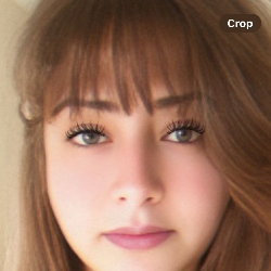 Single Arab woman in New York, New York, United States