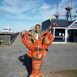 Single Arab man in Boston, MA, United States