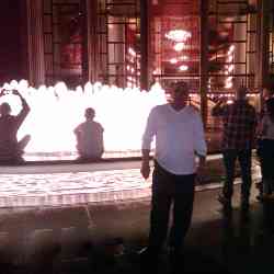 Single Arab man in Floral City, FL, United States