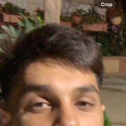 Single Arab man in Dallas, TX, United States