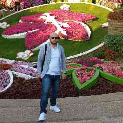 Single Arab man in Houston, TX, United States