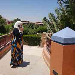 Single Arab woman in Toronto, ON, Canada