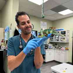 Single Arab man in Pasadena, CA, United States