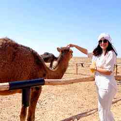 Single Arab woman in Casablanca-Anfa, Morocco, Morocco