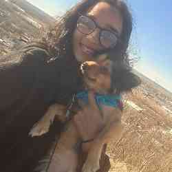 Single Arab woman in Kansas City, Misuri, United States