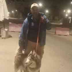 Single Arab man in العاشر من رمضان, مصر, Egypt