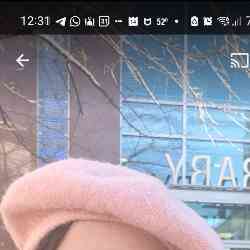 Single Arab woman in Manassas, VA, United States