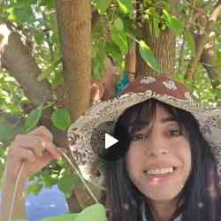 Single Arab woman in Manassas, VA, United States