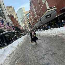 Single Arab woman in Lexington, Massachusetts, United States