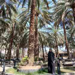Single Arab woman in زبدين, سوريا, Syria