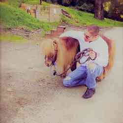 Single Arab man in Amman, Jordan, Jordan