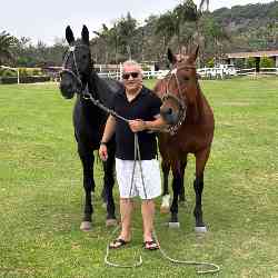 Single Arab man in NORTHRIDGE, California, United States