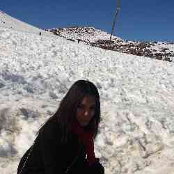 Single Arab woman in Chicago, IL, United States