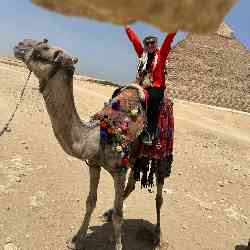 Single Arab woman in Plano, Texas, United States