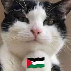 Single Arab man in Lauderhill, Florida, United States