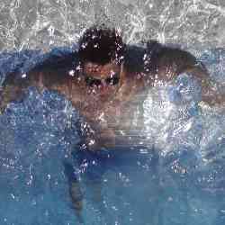 Single Albanian man in New York, New York, United States