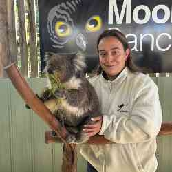 Single Albanian woman in Chicago, IL, United States