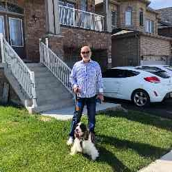 Single Albanian man in Toronto, Ontario, Canada