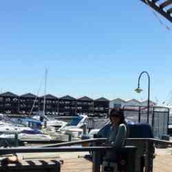 Single Turkish woman in Melbourne, Australia