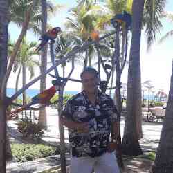 Single Turkish man in Chicago, IL, United States