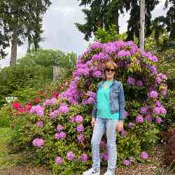 Single Armenian woman in Toronto, Ontario, Canada