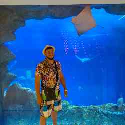 Single Armenian man in Boston, Массачусетс, United States